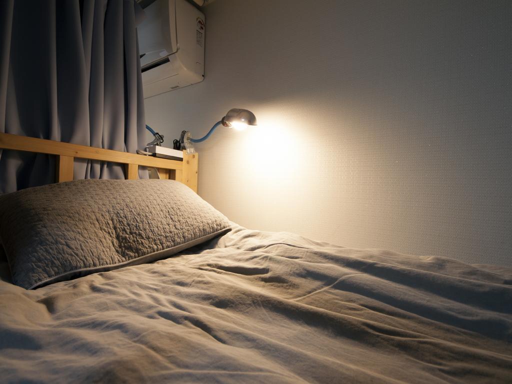 Lazy Fox Den Hostel *