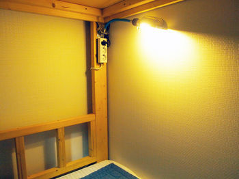 Lazy Fox Den Seoul